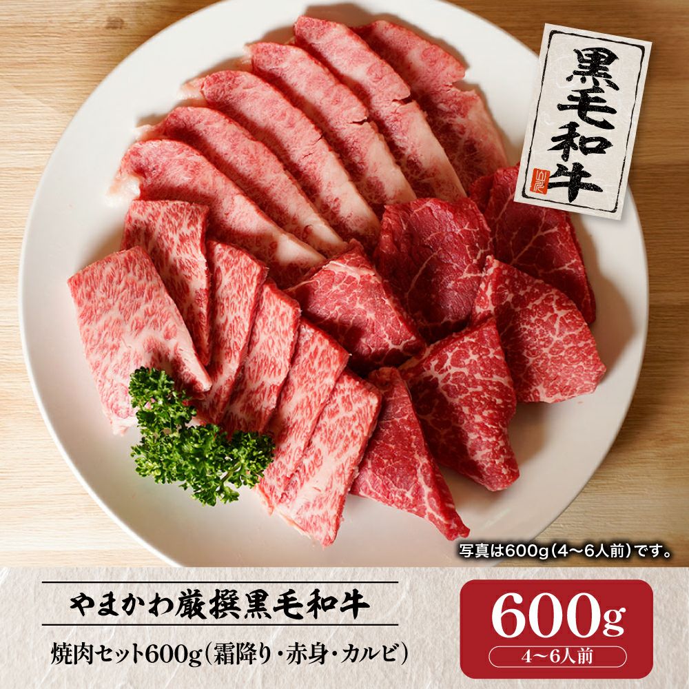 黒毛和牛】焼肉セット（霜降り・赤身・カルビ）600g （4～6人前） | 肉